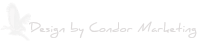 web-design-by-condor-marketing